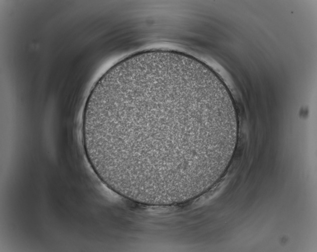X0000101221199200807251104