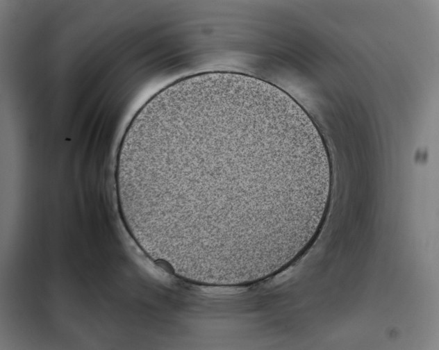 X0000101221200200807251104
