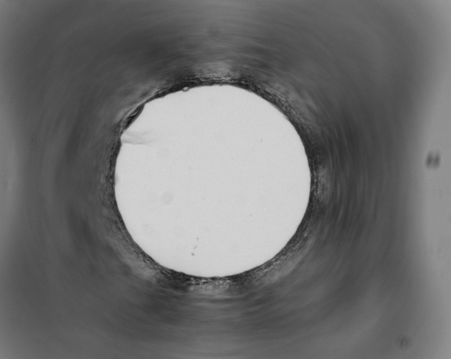 X0000101221201200807251103