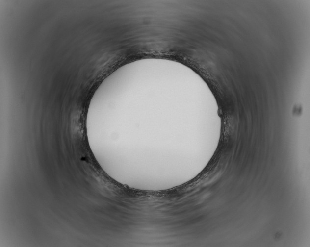 X0000101221202200807251103