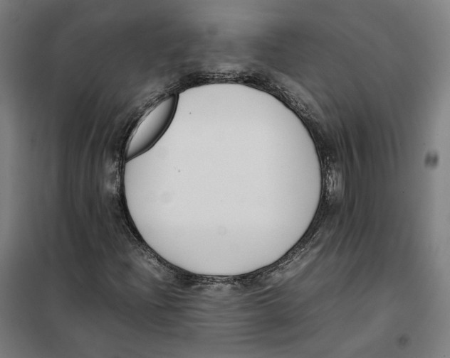 X0000101221204200807251103