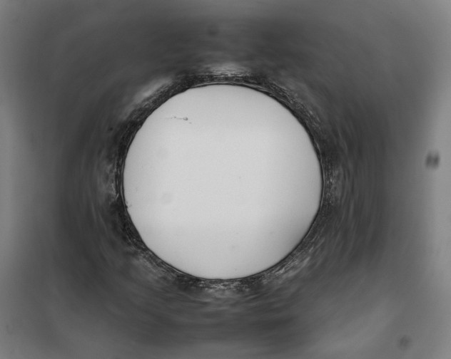 X0000101221205200807251103