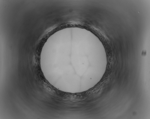 X0000101221207200807251103