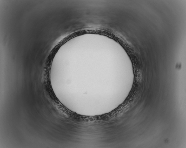X0000101221208200807251103