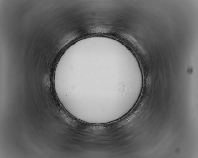 X0000101221209200807251103