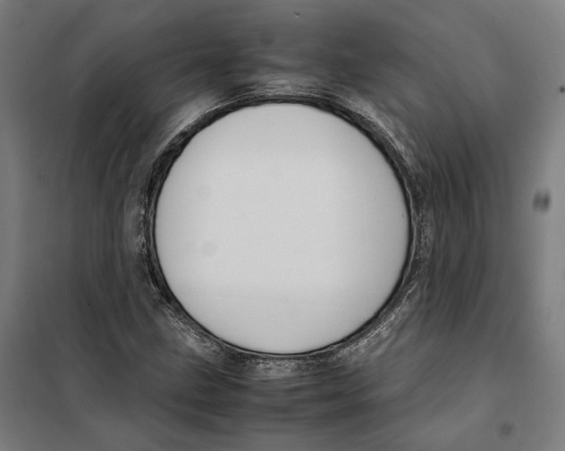 X0000101221211200807251103