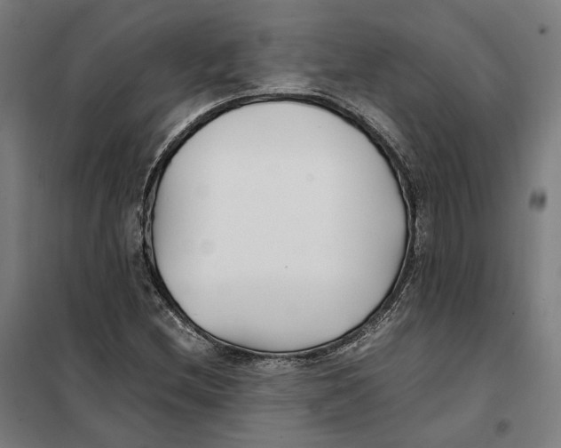 X0000101221212200807251103