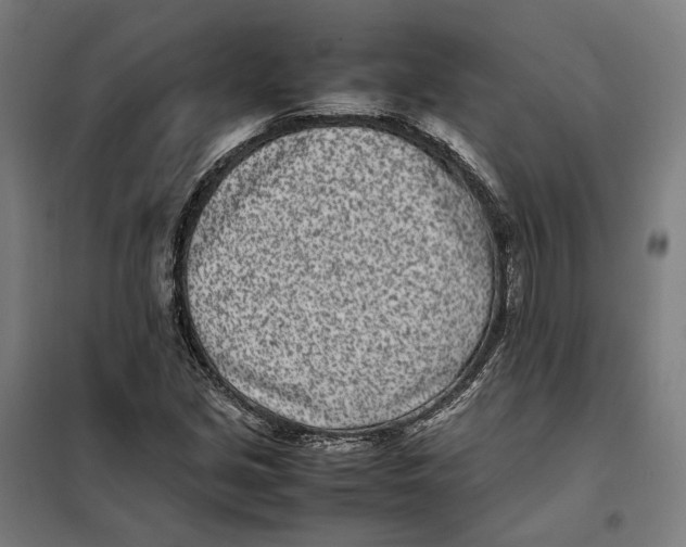 X0000101221213200807251104