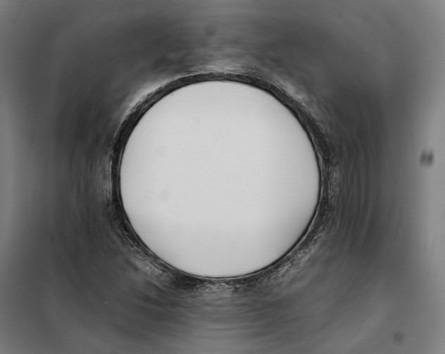 X0000101221214200807251104