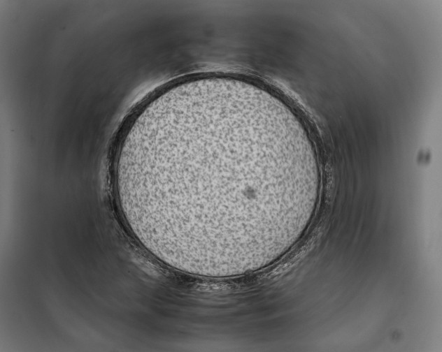 X0000101221215200807251104