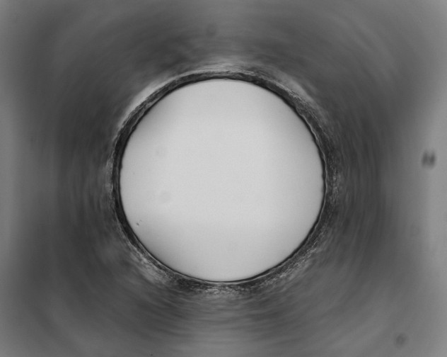 X0000101221216200807251104