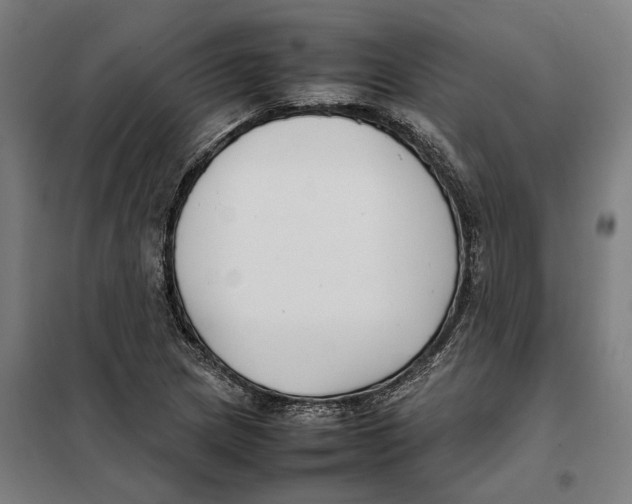 X0000101221217200807251104
