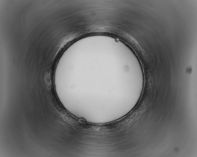 X0000101221218200807251104
