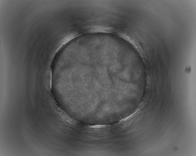 X0000101221219200807251104
