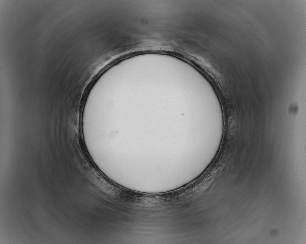 X0000101221220200807251104