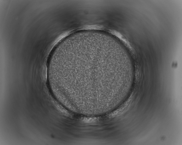 X0000101221221200807251104