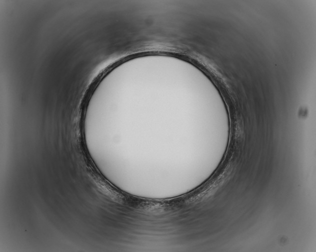 X0000101221222200807251104