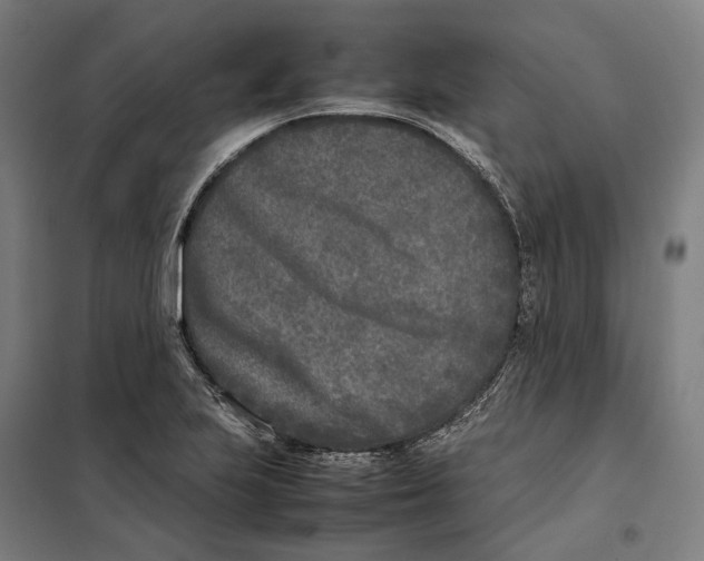 X0000101221223200807251104