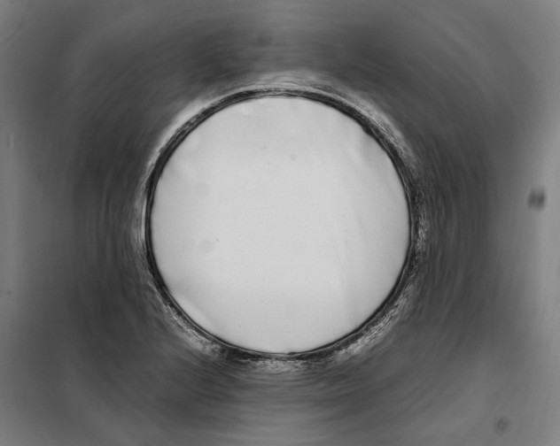 X0000101221224200807251104