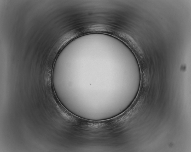 X0000101221225200807251104