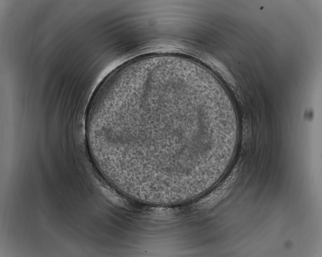 X0000101221226200807251104