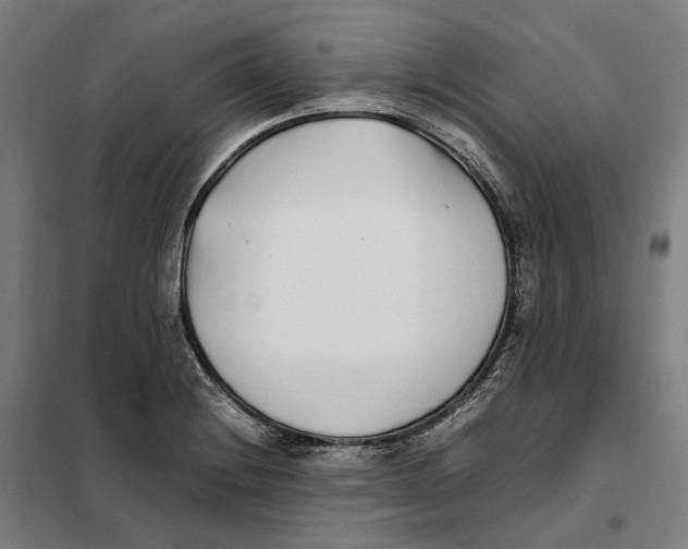 X0000101221228200807251104