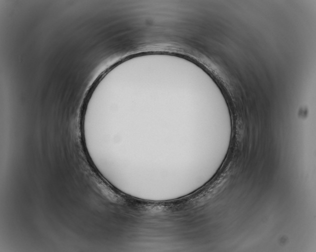 X0000101221230200807251104
