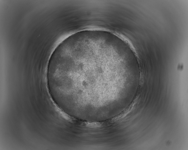 X0000101221231200807251104