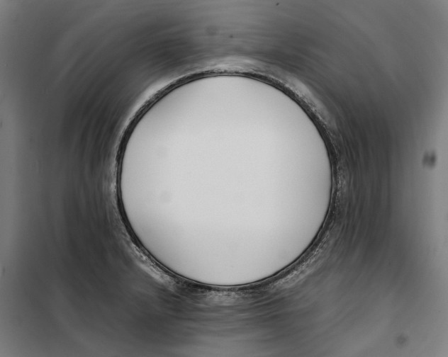 X0000101221232200807251104