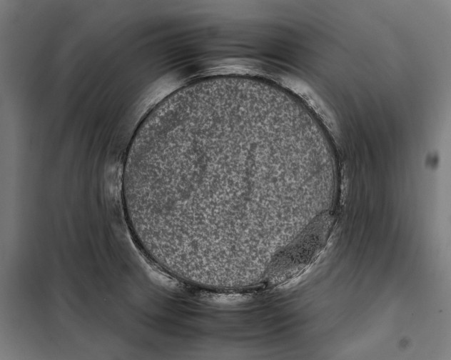 X0000101221233200807251104