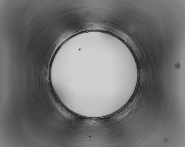 X0000101221234200807251104