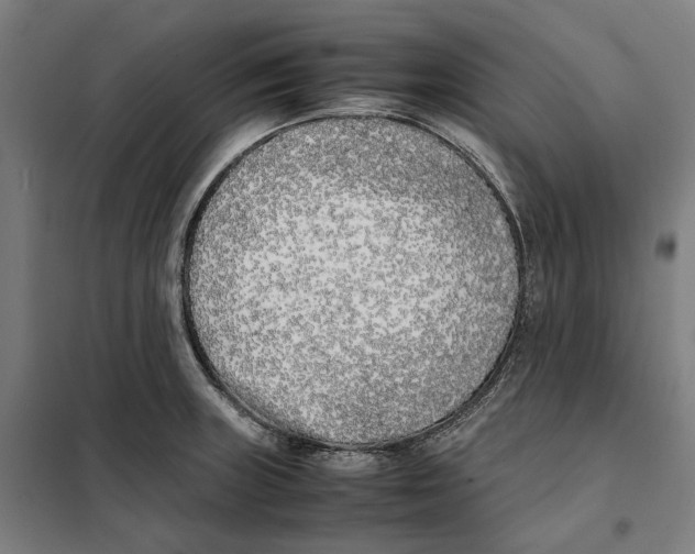 X0000101221235200807251104