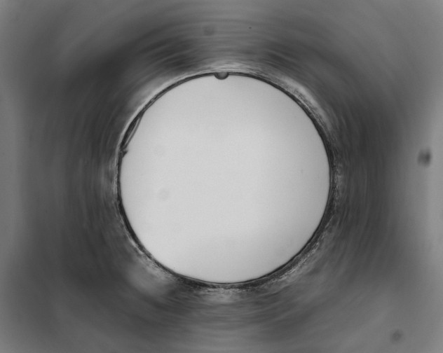 X0000101221236200807251104