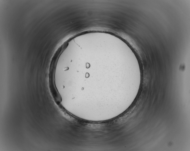 X0000101221237200807251104