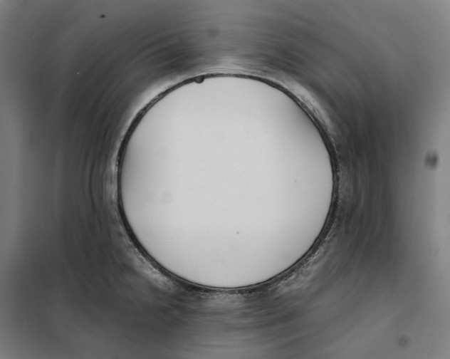 X0000101221238200807251104