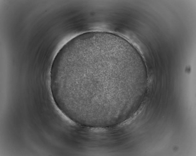 X0000101221239200807251104