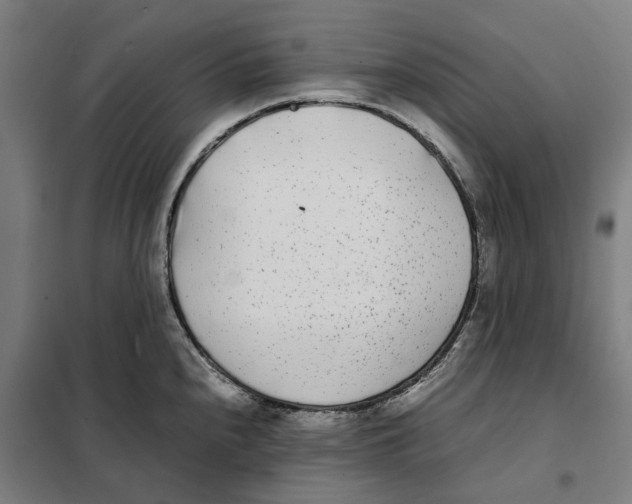 X0000101221240200807251104
