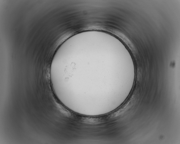 X0000101221241200807251104