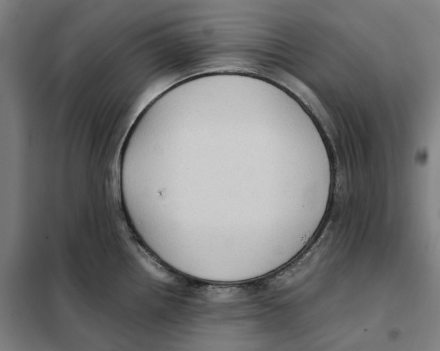 X0000101221242200807251104