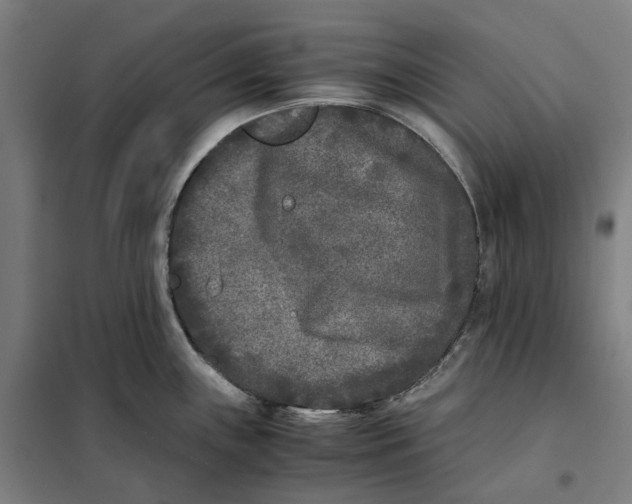 X0000101221243200807251104
