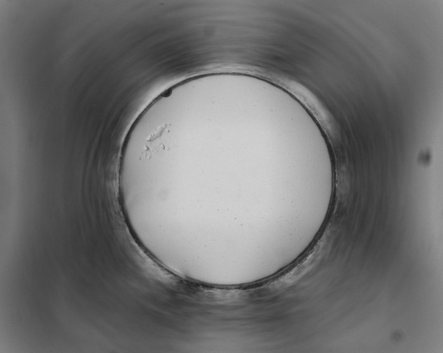 X0000101221244200807251104