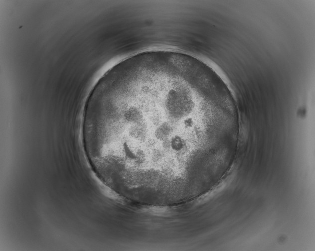 X0000101221245200807251104