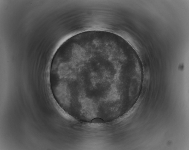 X0000101221246200807251104