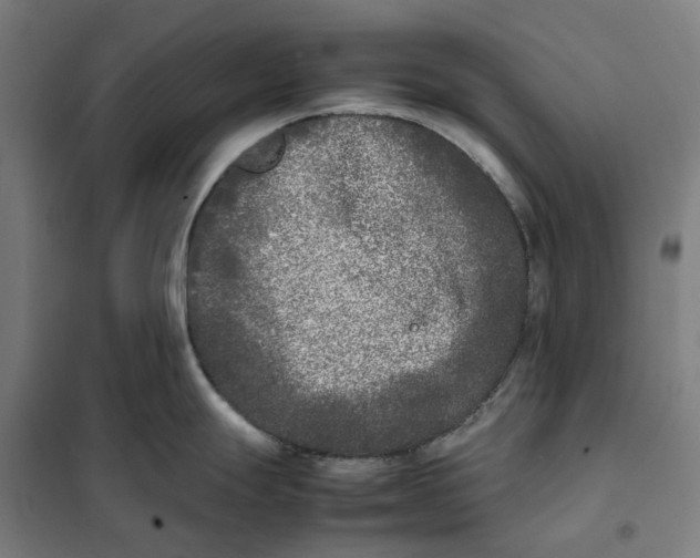 X0000101221247200807251104