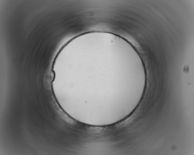 X0000101221248200807251104