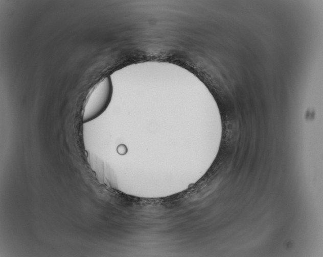 X0000101221249200807251103