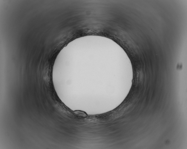 X0000101221250200807251103
