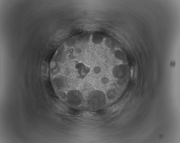 X0000101221251200807251103