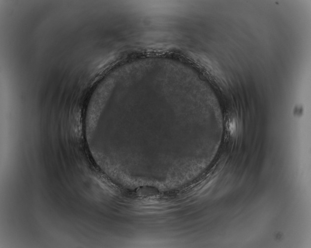 X0000101221252200807251103
