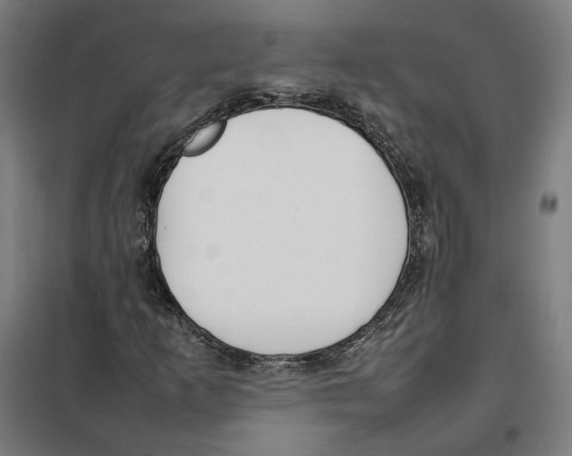 X0000101221253200807251103